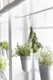 Ikea Nederland Interieur Online Bestellen Hanging Plants Hang Plants From Ceiling Hanging Plants Diy