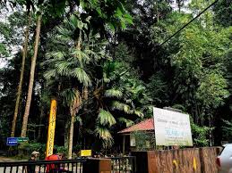 Di sini kebanyakan ikan air tawar yang ada diperolehi dari sekitar sungai selangor di kuala selangor. Air Terjun Sungai Congkak Tempat Menarik Di Malaysia Facebook