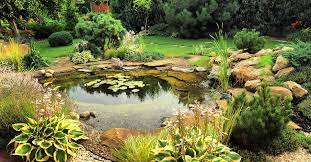 3.5 out of 5 stars 6 customer reviews. 5 Best Pond Paint Products Uk 2021 Review
