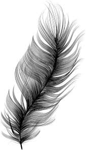 Feather Kus Tuyu Dovmeleri Basili Posterler Soyut Manzara