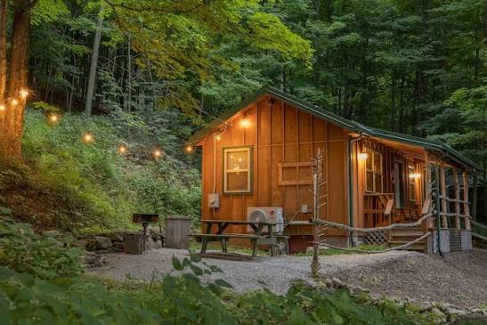 Cabin in the woods w/ WIFI. >1 mi to Mon. Forest Reviews, Deals & Photos  2026 - Expedia.com