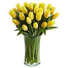 Berkongsi minat dan petua menanam bunga dalam pasu.#caramenyuburkantanamanpasu #tipsmenanambungabercampur #bbflorence. Singapura Hari Yang Baik 20 Tulip Kuning Dalam Pasu Penghantaran Bunga Singapura Bunga Dalam Talian Singapura
