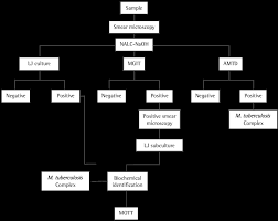 sample processing flowchart nalc naoh n acetyl l cysteine