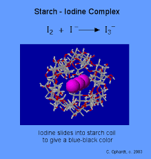 Starch And Iodine Chemistry Libretexts