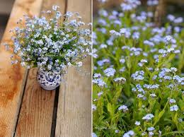 Friday Flowers Grijile Vietii Flowers Flowers Bouquet Flower Arrangements