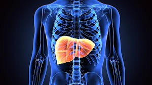 Why Are So Many Latino Children Developing Fatty Liver Disease Fatty Liver Symptoms Fatty Liver Liver Disease