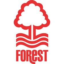 Logo Klub Di Liga Championship Inggris Efl Idezia Inggris Cardiff Newcastle