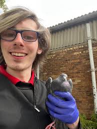 We are looking for 3 volunteers to join team UKWOT! 🦦 Our charity is run  by a team of hardworking and dedicated volunteers. We are looking for 3  lovely people to join