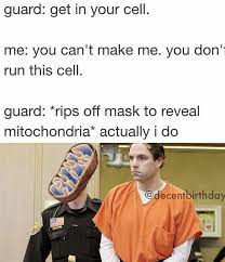 Dank Meme 205 Laughing So Hard Funny Memes Science Memes