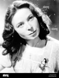 Lance comfort hi-res stock photography and images