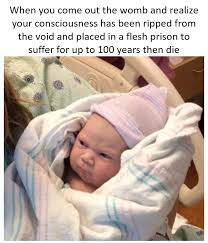 Pin By Kiva Meeks Mosley On Random Funny Baby Memes Funny Baby Pictures Funny Babies