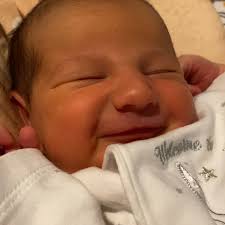 Henry Benjamin (@henrybenj) • Instagram photos and videos