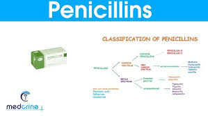 Image result for Extended Spectrum Penicillin