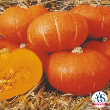Start seeds indoors 4 weeks prior to the last frost for your area. Seedman S Kabocha Squash Seeds