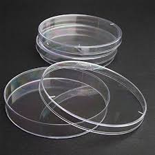 24 Vwr Polystyrene Disposable Sterile Stackable Petri Dishes 100x15mm All4hiking Com Petri Dishes Petri Dish Polystyrene