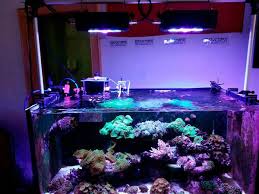 You set up your grow tent, set your plants in place, strap your rope hangers to your lights and hang 'em. Led Aqua Grow Light Janchou66 Twitter