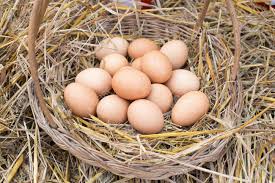 Les Oeufs Dans Un Panier Sont Placés Sur La Paille. Banque D'Images Et  Photos Libres De Droits. Image 92531500.