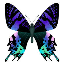 O reino das borboletas brancas. Borboletas Borboleta Bonita Colorida Png Imagens E Moldes Com Br