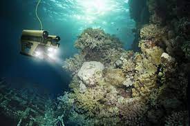 Weekly discussion of happenings in and around roanoke and lynchburg. Imca Rov Audits Brager Solutions