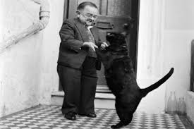 See full list on diffen.com Dwarf Vs Midget Difference And Comparison Diffen