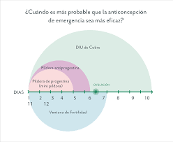 Una vez ingeridos, inhiben la liberación de la hormona liberadora de gonadotropina (gnrh) por el hipotálamo, inhibiendo así la liberación de las hormonas hipofisarias que estimulan la ovulación. Anticonceptivos De Emergencia Como Funcionan Y Cuales Son Los Mejores Metodos