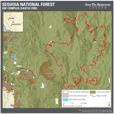 And according to cal fire, five of the top 20 largest fires in california's history. Sequoia Complex Fire Nearing Giant Sequoia Grove Save The Redwoods League