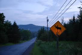 Aroostook state park is public recreation area located within the southern municipal boundary of the city of presque isle in aroostook county, maine. Aroostook State Park In Background Picture Of Presque Isle Maine Tripadvisor