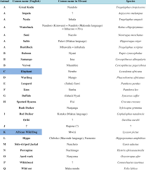 Image result for Warneckea cordiformis