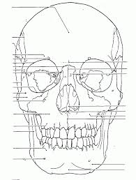 Coloring Rocks Skull Coloring Pages Anatomy Coloring Book Skull Anatomy