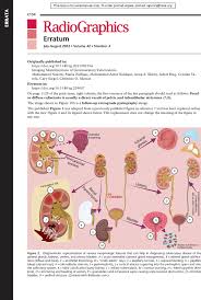 Image result for Genitourinary Tuberculosis
