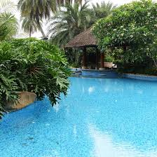 Swimming pool equipment supplies in nashville on superpages.com. 5 Reasons To Remove Trees Near Swimming Pools