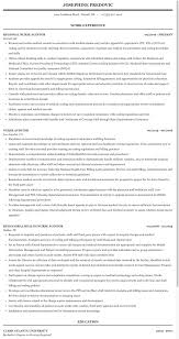 nurse auditor resume sample mintresume