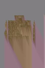 The North American Indians: an account of the American Indians north of  Mexico