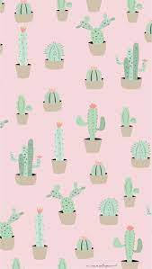 Here presented 47+ christmas cactus drawing images for free to download, print or share. Cactus Tumblr Background Yahoo Espa Ergebnisse Cactus De Espa Fondo Tumblr Background Hintergrund Iphone Niedliche Hintergrundbilder