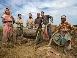 Feeding 9 Billion National Geographic Activate background knowledge about the purpose of storytelling. feeding 9 billion national geographic