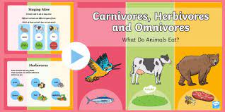 Ks1 Powerpoint On Carnivores Herbivores And Omnivores