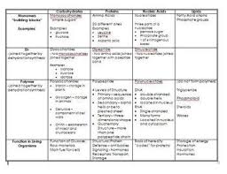 Pin On Macromolecules