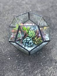 Diy Succulent Terrarium Kit 7x6 Black Etsy In 2020 Diy Succulent Terrarium Succulents Diy Succulent Terrarium