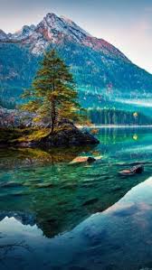 At diy natural you can find natural cleaning recipes, diy beauty products, homemade soap recipes, and much more. Natural Beauty