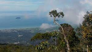 Hai assalamualaikum semua,03.07.2020 (jumaat) kakngah hiking gunung jerai dengan team pdrm & jabatan perhiliitan. Gunung Jerai Gunung Bagging