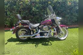 Image result for Violet Pearl 1998 Motorcycle