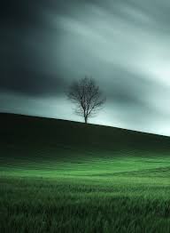 Lonely Tree By Eɴigma Casaɴova On 500px Beautiful Landscapes Landscape Photography Landscape