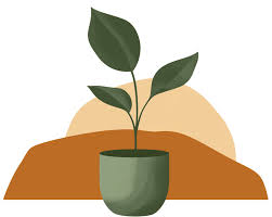 Image result for Ceropegia conrathii