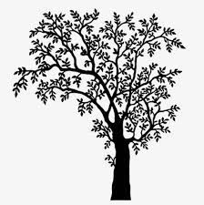 Black And White Tree Branches Tree Illustration Black And White Tree Black Tree
