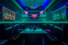 Bottle Service & Packages – PalmTree Karaoke