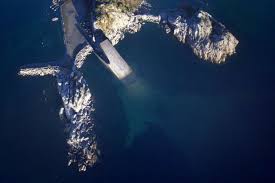 C'est un jour de vacances pour tous les français. L Industrie C Est Fou Le Premier Restaurant Sous Marin D Europe Prend La Mer