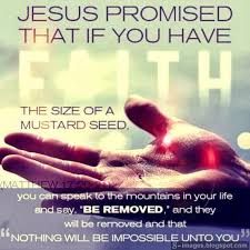 Image Result For Faith The Size Of A Mustard Seed Images Joseph Prince Quotes Joseph Prince Ministries Joseph Prince