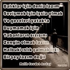 Baliklar Icin Deniz Lazim Sevismek Icin Issiz Olmak Ve Geceleri Yatakta Duymamak Icin Tabanlarin Sizisini Zengin Olmak Lazim Halbuki Islik Calm Goruntuler Ile Edebiyat Siir