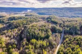 Image result for Springfield Irving Springfield VT