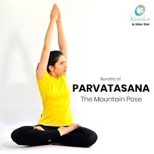 Benefits Of Parvatasana Yoga Photoshoot Mountain Pose Lotus Pose